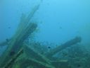 DSC00327.JPG