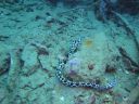 DSC00333.JPG
