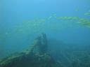 Dateiname=DSC00347.JPG
Dateigröße=234KB
Abmessungen: 1024x768
hinzugefügt am: 05. August 2014 DSC00347.JPG
