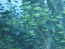 DSC00355.JPG