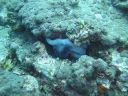 Dateiname=DSC00376.JPG
Dateigröße=440KB
Abmessungen: 1024x768
hinzugefügt am: 05. August 2014 DSC00376.JPG