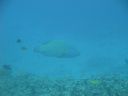 DSC00428.JPG