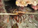 DSC00437.JPG