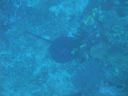 DSC00440.JPG