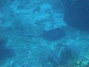 DSC00442.JPG