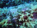 DSC00446.JPG