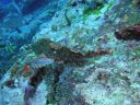 DSC00450.JPG