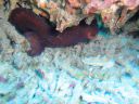 DSC00455.JPG