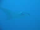 DSC00456.JPG