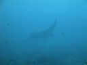 DSC00459.JPG