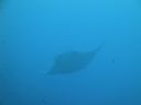 DSC00460.JPG