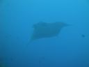 DSC00463.JPG