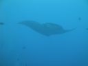 DSC00466.JPG