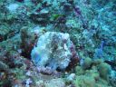 DSC00469.JPG