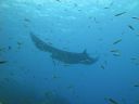 DSC00482.JPG