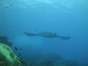 DSC00485.JPG