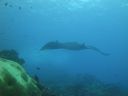 DSC00486.JPG