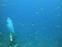 DSC00488.JPG