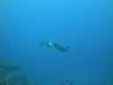 DSC00490.JPG