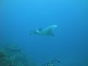 DSC00493.JPG
