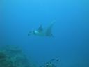 DSC00494.JPG