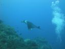 DSC00496.JPG