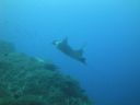 DSC00497.JPG