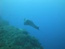 DSC00498.JPG