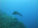 DSC00499.JPG