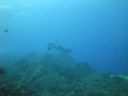 DSC00502.JPG