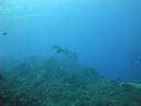 DSC00503.JPG