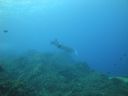 DSC00504.JPG
