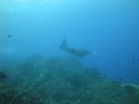 DSC00505.JPG