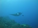 DSC00506.JPG
