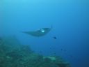 DSC00507.JPG