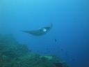 DSC00508.JPG
