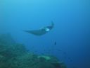 DSC00509.JPG