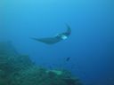 DSC00510.JPG
