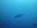 DSC00517.JPG
