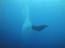 DSC00522.JPG