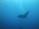 DSC00523.JPG