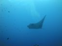 DSC00524.JPG