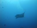 DSC00525.JPG