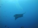 DSC00526.JPG