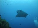 DSC00528.JPG