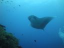 DSC00530.JPG