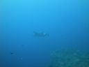 DSC00538.JPG