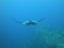 DSC00540.JPG