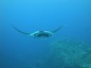DSC00541.JPG