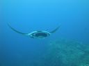 DSC00542.JPG